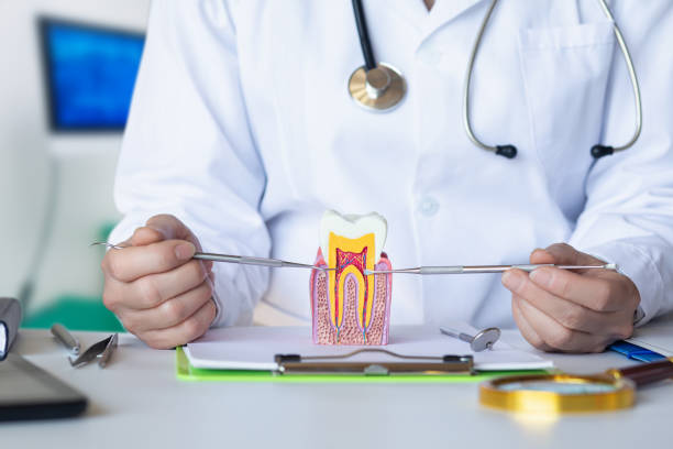 Best Root Canal Emergency Dentist  in Plainwell, MI